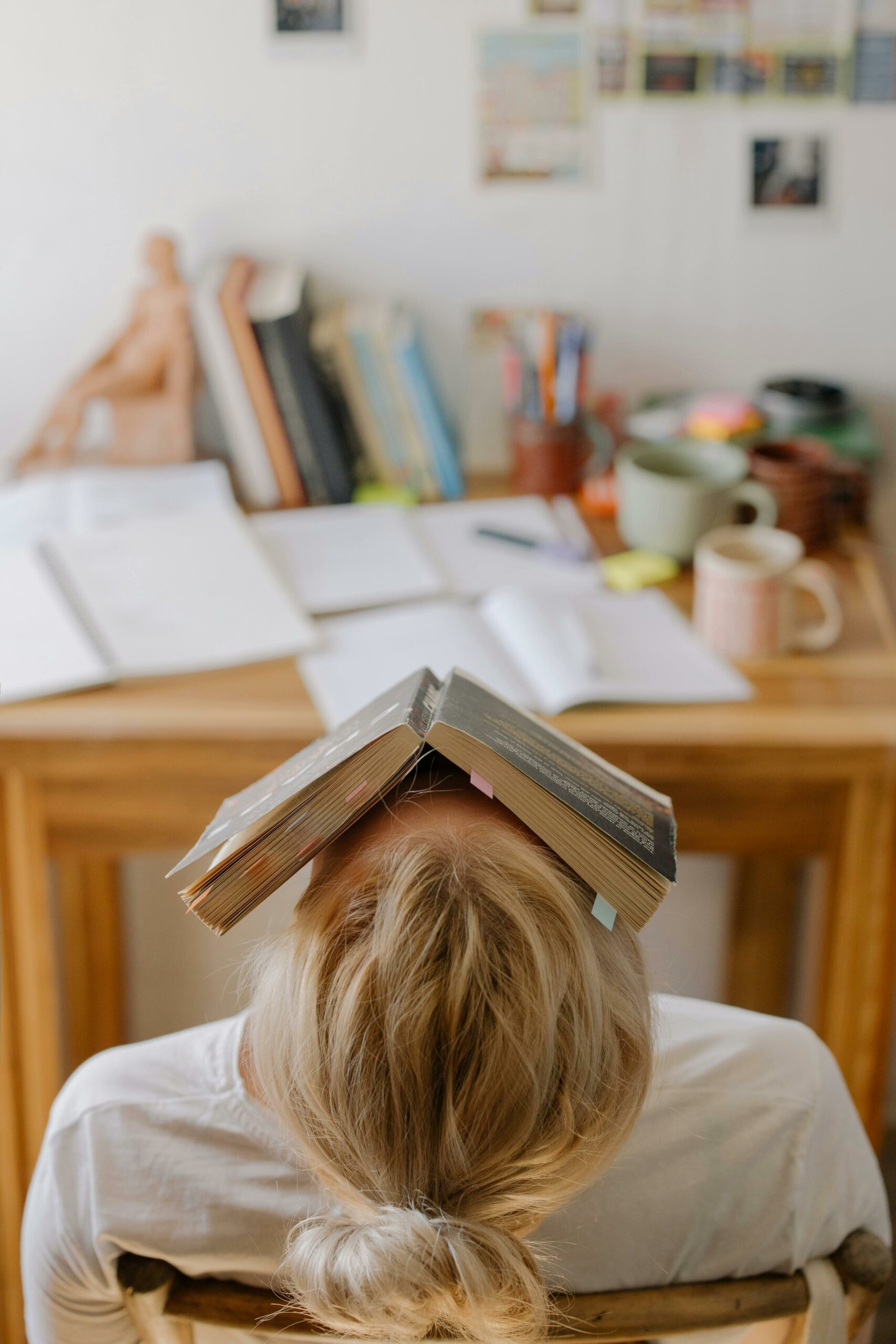 Fenêtre de tolérance : Adaptation au stress et aux émotions