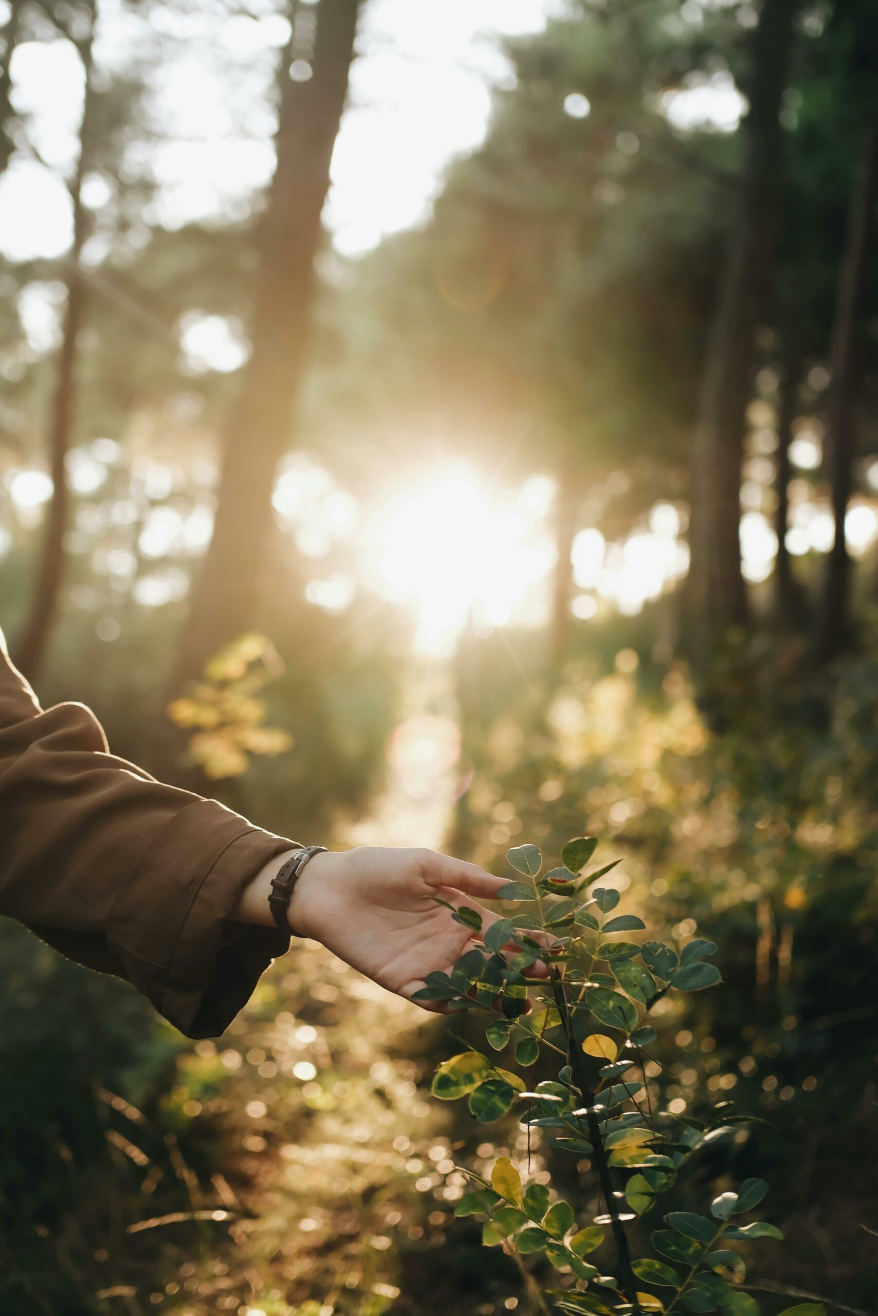 La cohérence cardiaque : excellent outil de gestion du stress